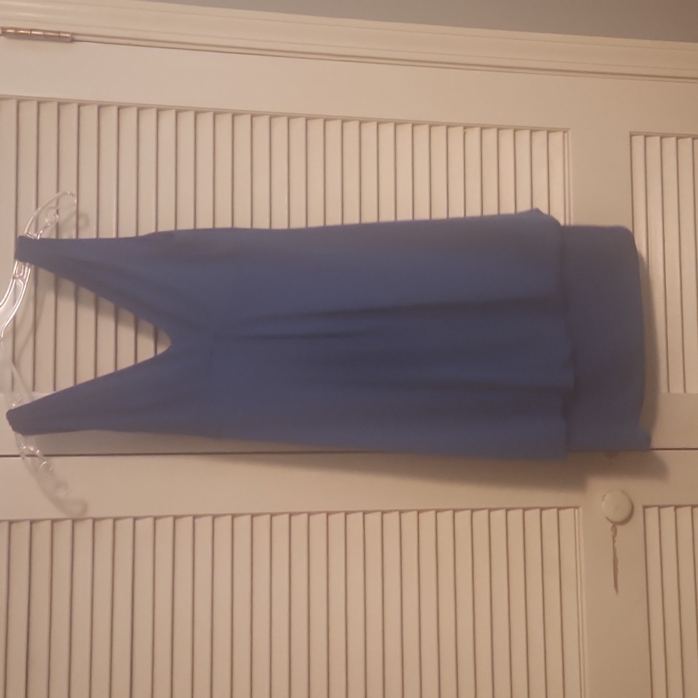 Blue Eliza J dress.
